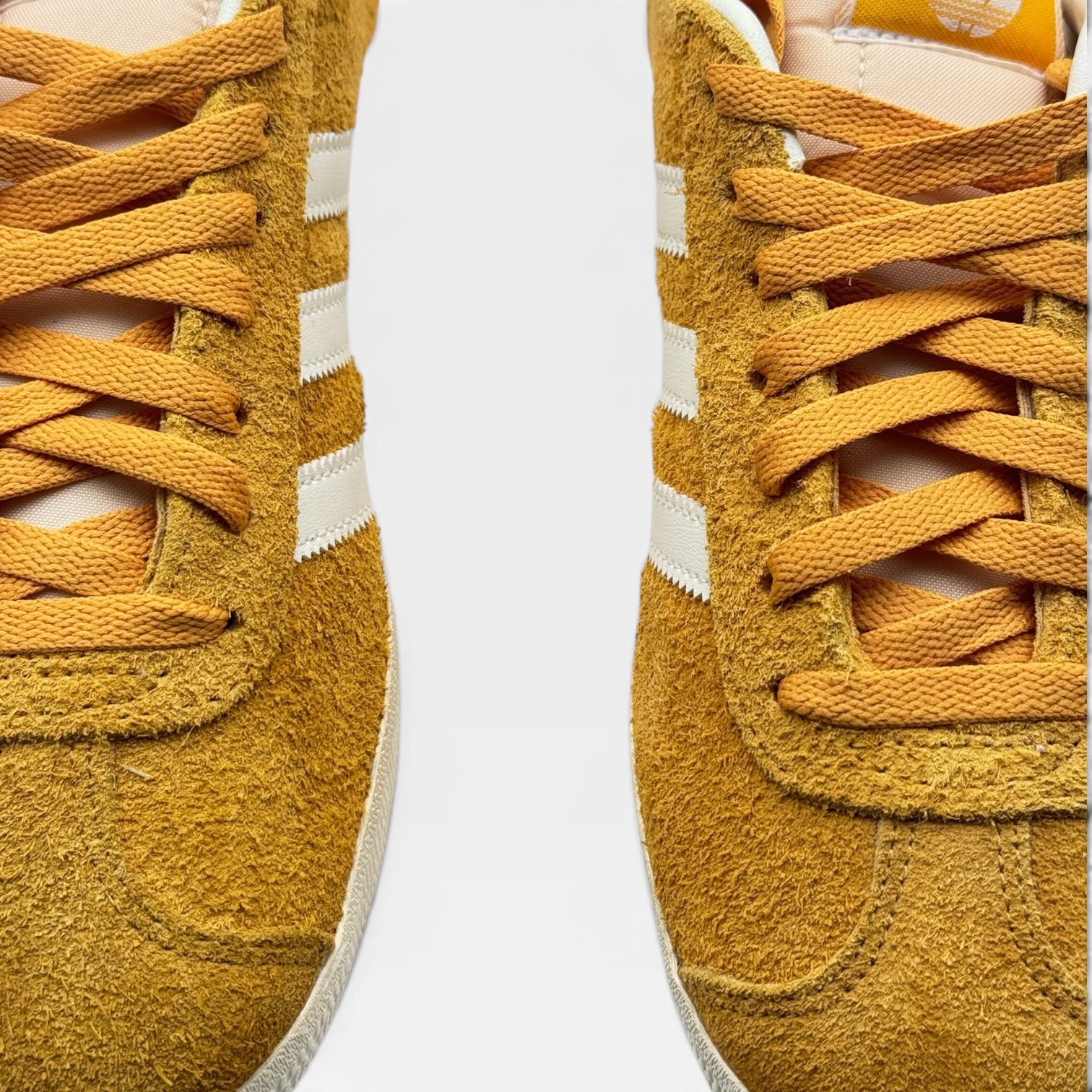GAZELLE – Image 4
