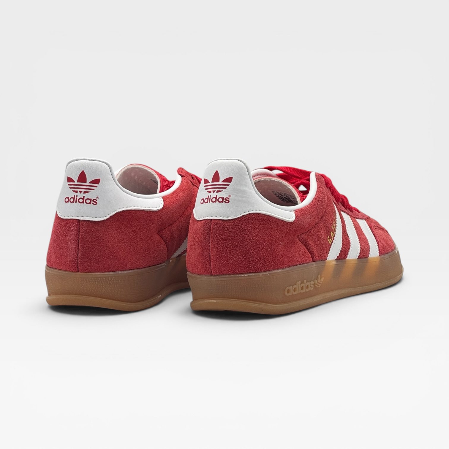 GAZELLE – Image 3