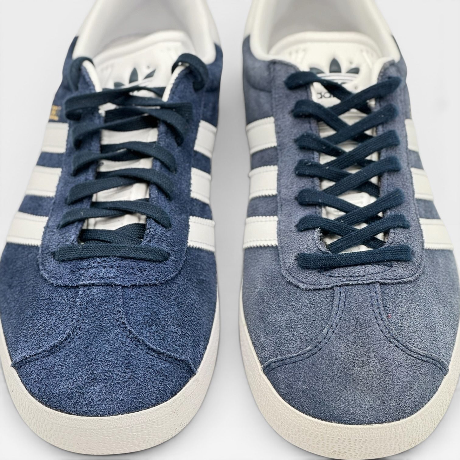GAZELLE – Image 5