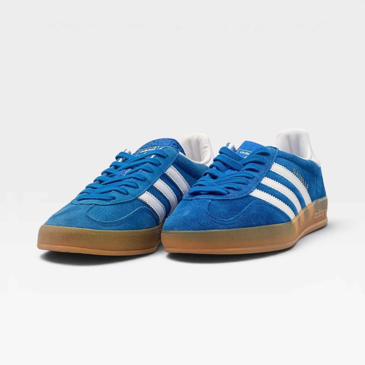 GAZELLE – Image 2