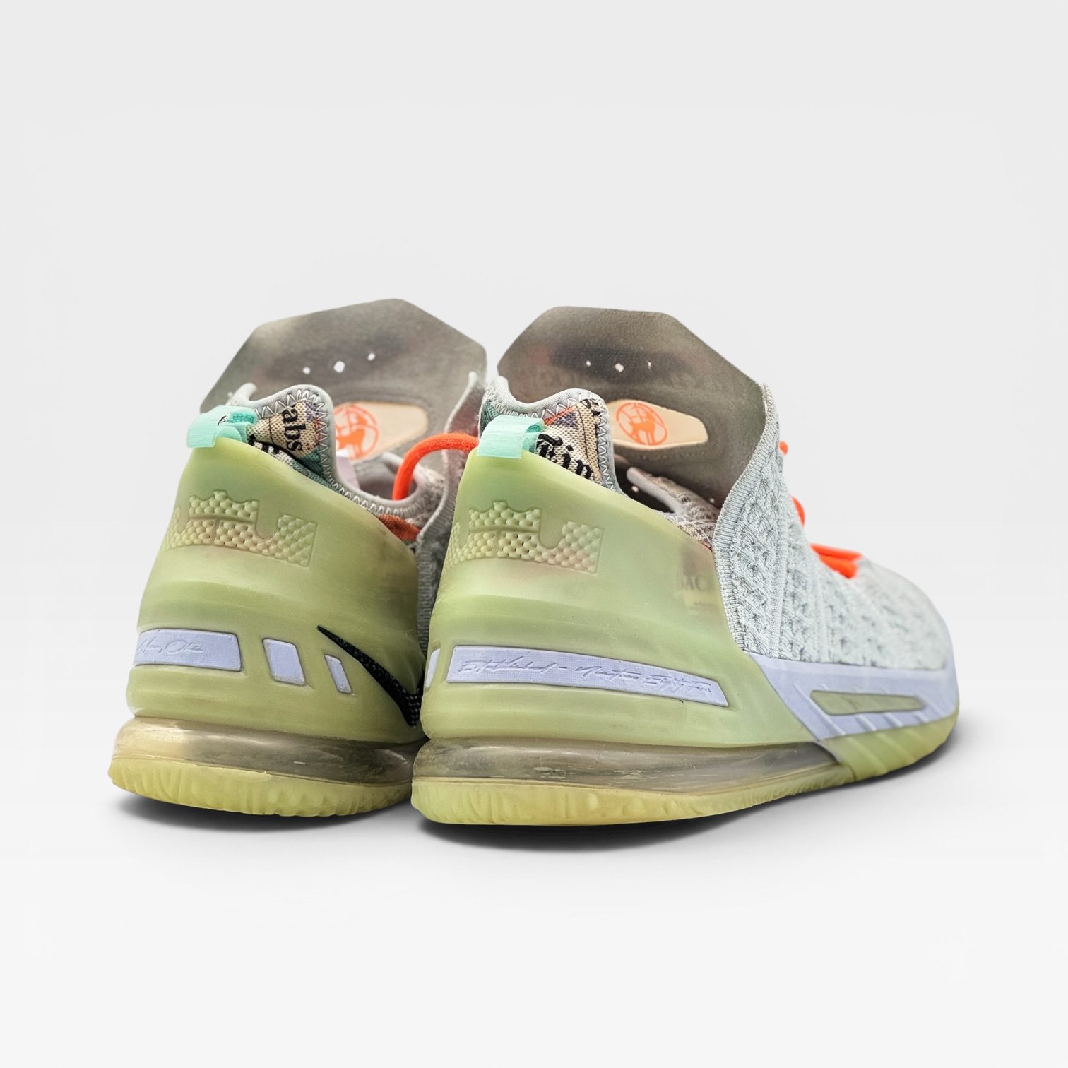 DIANA TAURASI LEBRON 18 – Image 3