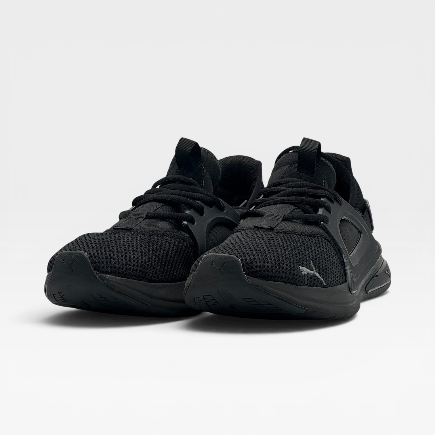 ENZO EVOLUE – Image 2