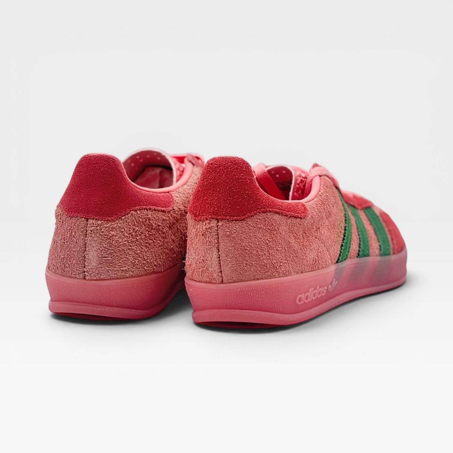 GAZELLE – Image 3