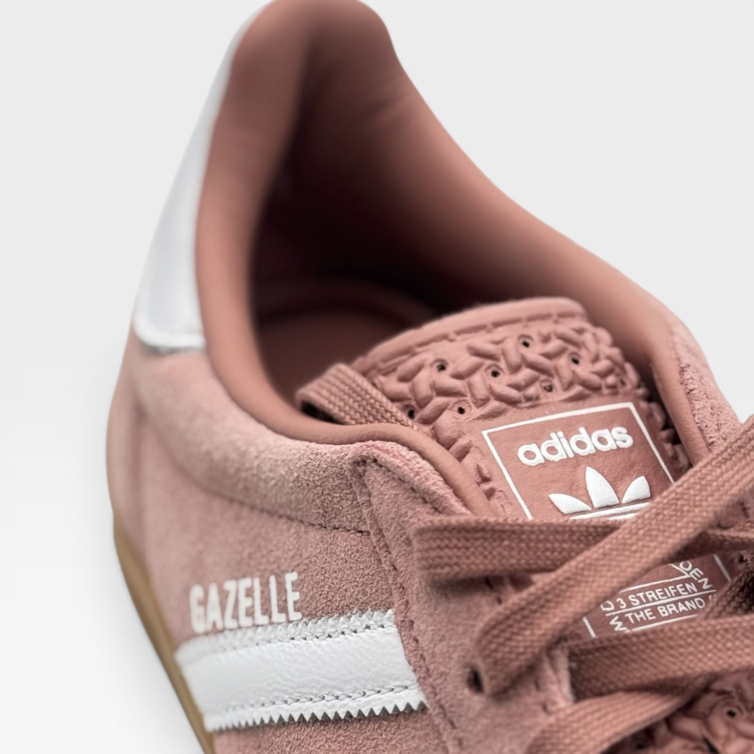 GAZELLE – Image 3