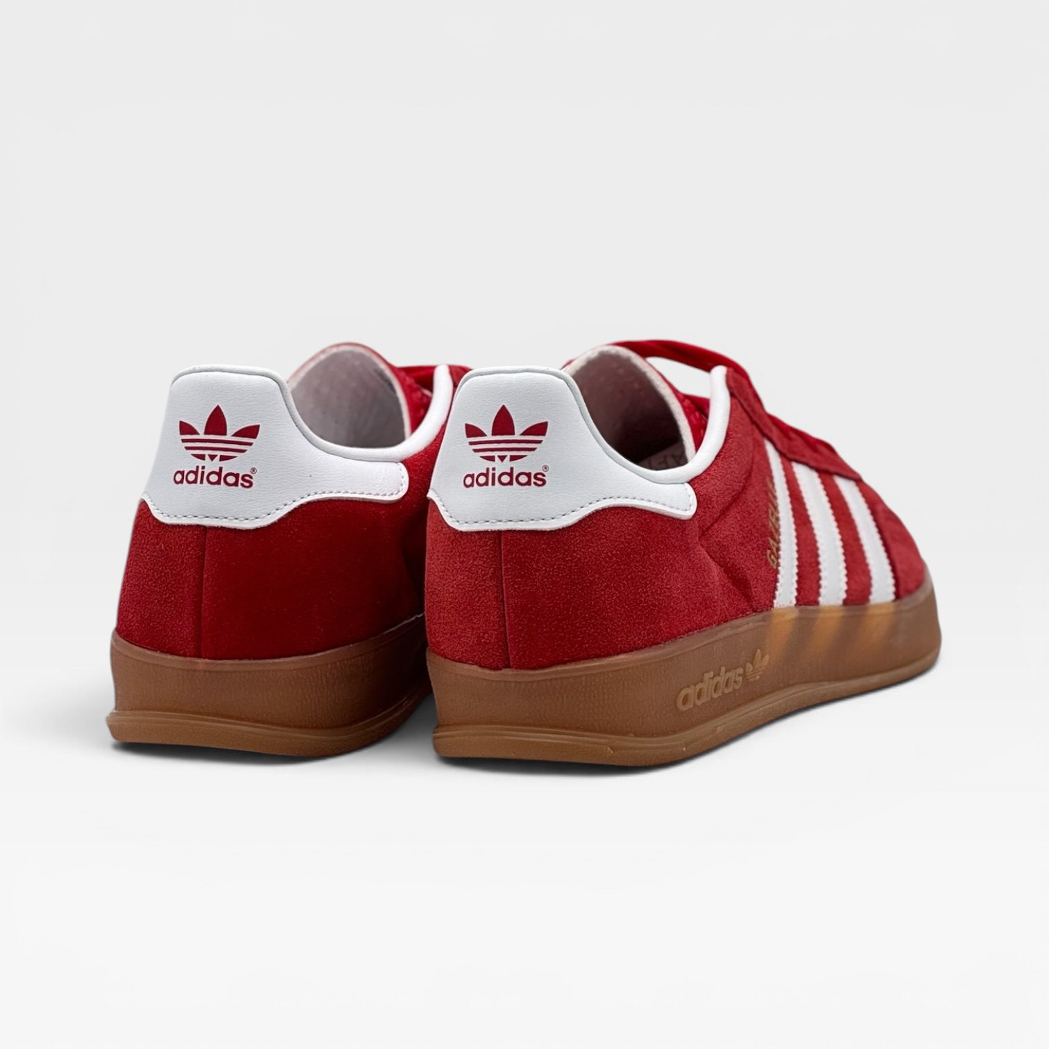 GAZELLE – Image 3
